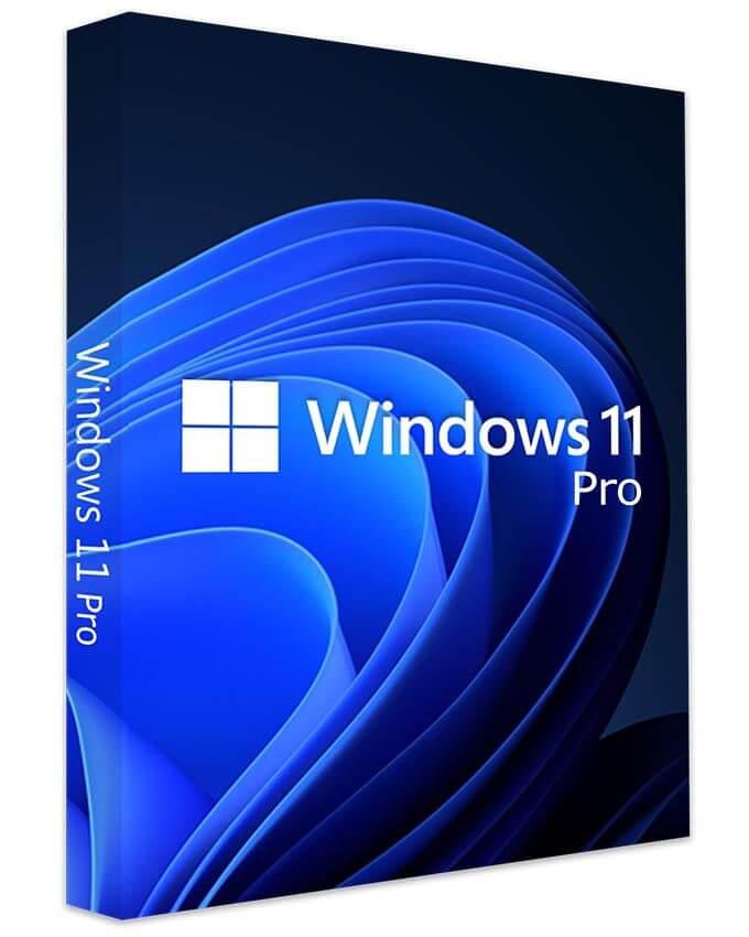 Windows 11 Pro